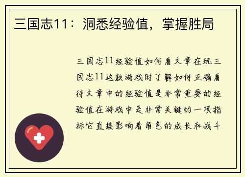 三国志11：洞悉经验值，掌握胜局